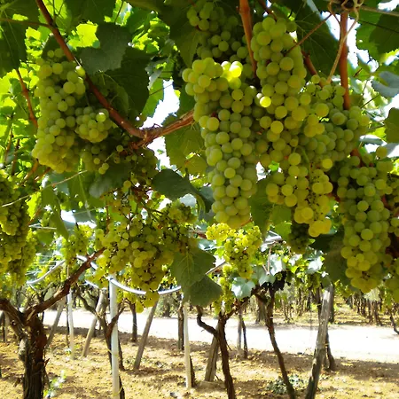 Hotell Villaggio San Giovanni