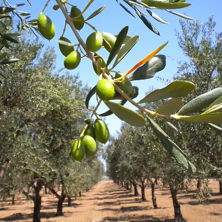 Villaggio San Giovanni Hotell 4*